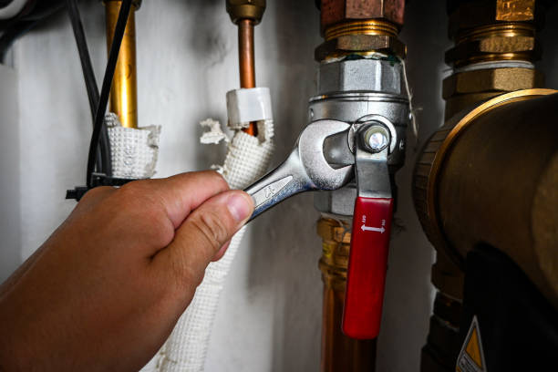 Best Plumbing Services Near Me  in St Francis, WI